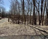 0 Bluebird Drive, Terra Alta, West Virginia 26764, ,Lots/land,For Sale,Bluebird,10158935