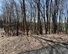 0 Bluebird Drive, Terra Alta, West Virginia 26764, ,Lots/land,For Sale,Bluebird,10158935
