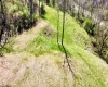 TBD Walkersville Road, Walkersville, West Virginia 26447, ,Lots/land,For Sale,Walkersville,10158939