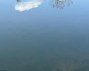 1098 Crystal Lake Road, West Union, West Virginia 26456, ,Lots/land,For Sale,Crystal Lake,10158949