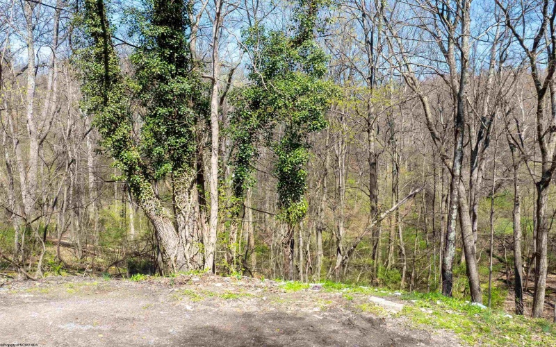 tbd Wright Street, Morgantown, West Virginia 26501, ,Lots/land,For Sale,Wright,10158972
