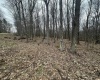 TBD Lakeview Drive, Terra Alta, West Virginia 26764, ,Lots/land,For Sale,Lakeview,10158963
