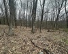 TBD Lakeview Drive, Terra Alta, West Virginia 26764, ,Lots/land,For Sale,Lakeview,10158963