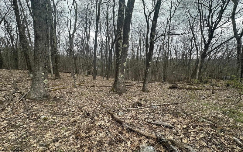TBD Lakeview Drive, Terra Alta, West Virginia 26764, ,Lots/land,For Sale,Lakeview,10158963
