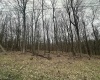 TBD Lakeview Drive, Terra Alta, West Virginia 26764, ,Lots/land,For Sale,Lakeview,10158963