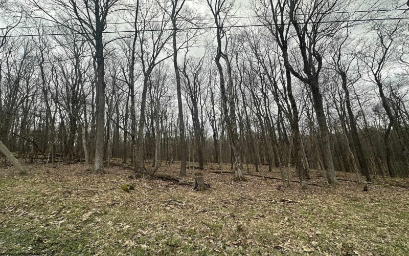 TBD Lakeview Drive, Terra Alta, West Virginia 26764, ,Lots/land,For Sale,Lakeview,10158963