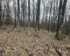 TBD Lakeview Drive, Terra Alta, West Virginia 26764, ,Lots/land,For Sale,Lakeview,10158963