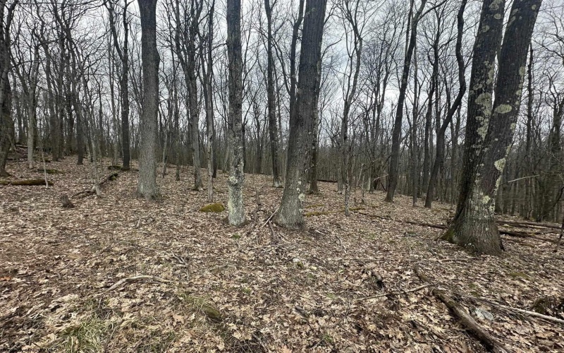 TBD Lakeview Drive, Terra Alta, West Virginia 26764, ,Lots/land,For Sale,Lakeview,10158963