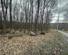 TBD Lakeview Drive, Terra Alta, West Virginia 26764, ,Lots/land,For Sale,Lakeview,10158963