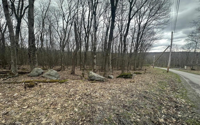 TBD Lakeview Drive, Terra Alta, West Virginia 26764, ,Lots/land,For Sale,Lakeview,10158963