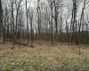 TBD Lakeview Drive, Terra Alta, West Virginia 26764, ,Lots/land,For Sale,Lakeview,10158963
