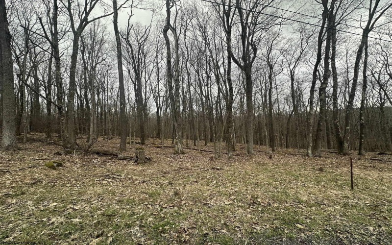 TBD Lakeview Drive, Terra Alta, West Virginia 26764, ,Lots/land,For Sale,Lakeview,10158963