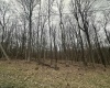 TBD Lakeview Drive, Terra Alta, West Virginia 26764, ,Lots/land,For Sale,Lakeview,10158963