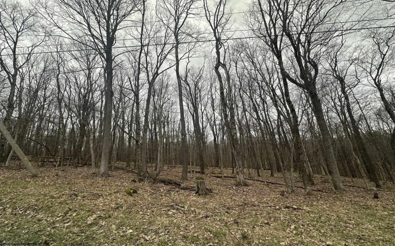 TBD Lakeview Drive, Terra Alta, West Virginia 26764, ,Lots/land,For Sale,Lakeview,10158963