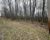 TBD Lakeview Drive, Terra Alta, West Virginia 26764, ,Lots/land,For Sale,Lakeview,10158963