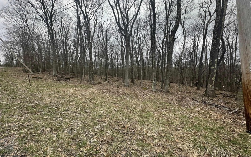 TBD Lakeview Drive, Terra Alta, West Virginia 26764, ,Lots/land,For Sale,Lakeview,10158963
