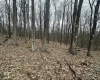 TBD Lakeview Drive, Terra Alta, West Virginia 26764, ,Lots/land,For Sale,Lakeview,10158963