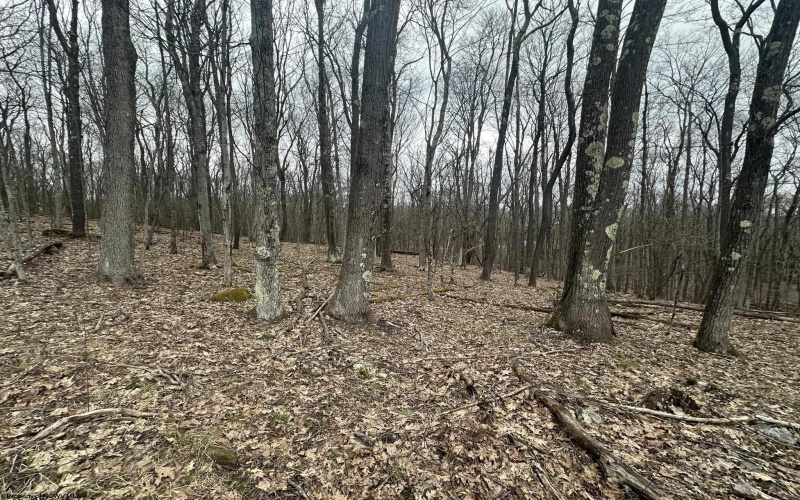 TBD Lakeview Drive, Terra Alta, West Virginia 26764, ,Lots/land,For Sale,Lakeview,10158963