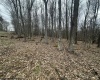 TBD Lakeview Drive, Terra Alta, West Virginia 26764, ,Lots/land,For Sale,Lakeview,10158963