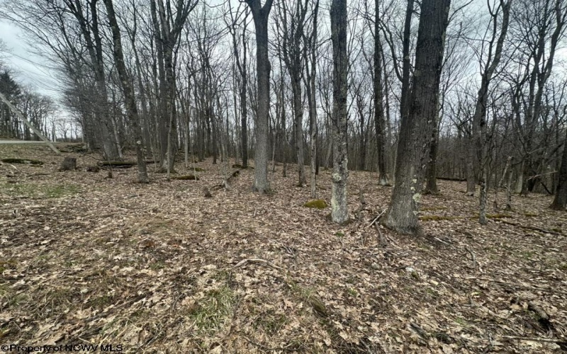 TBD Lakeview Drive, Terra Alta, West Virginia 26764, ,Lots/land,For Sale,Lakeview,10158963