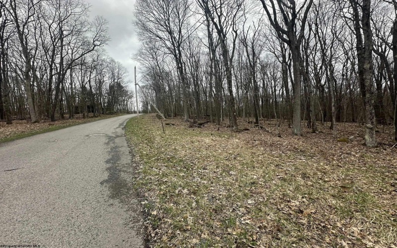 TBD Lakeview Drive, Terra Alta, West Virginia 26764, ,Lots/land,For Sale,Lakeview,10158963
