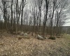 TBD Lakeview Drive, Terra Alta, West Virginia 26764, ,Lots/land,For Sale,Lakeview,10158963