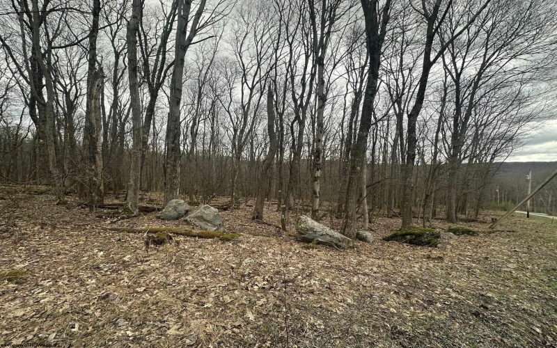 TBD Lakeview Drive, Terra Alta, West Virginia 26764, ,Lots/land,For Sale,Lakeview,10158963