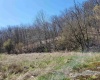 3796 Beverly Pike Highway, Elkins, West Virginia 26241, ,Lots/land,For Sale,Beverly Pike,10159003