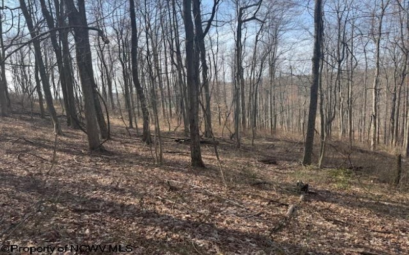 TBD Barbour County Highway, Philippi, West Virginia 26416, ,Lots/land,For Sale,Barbour County,10158816