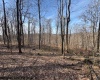 TBD Barbour County Highway, Philippi, West Virginia 26416, ,Lots/land,For Sale,Barbour County,10158816