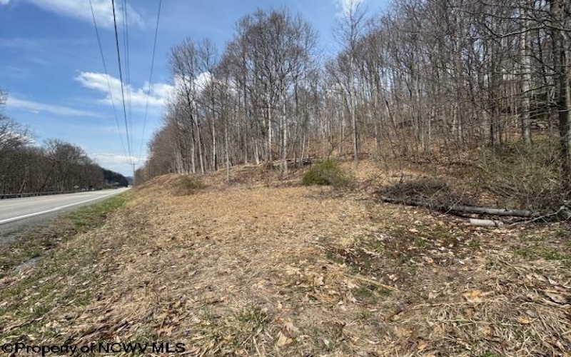 TBD Barbour County Highway, Philippi, West Virginia 26416, ,Lots/land,For Sale,Barbour County,10158816