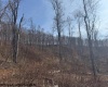 TBD Barbour County Highway, Philippi, West Virginia 26416, ,Lots/land,For Sale,Barbour County,10158816