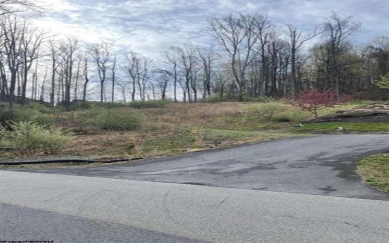 TBD Falling Water Lane, Morgantown, West Virginia 26508, ,Lots/land,For Sale,Falling Water,10159005