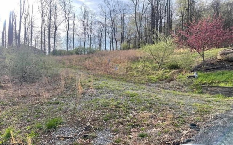TBD Falling Water Lane, Morgantown, West Virginia 26508, ,Lots/land,For Sale,Falling Water,10159005