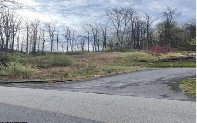TBD Falling Water Lane, Morgantown, West Virginia 26508, ,Lots/land,For Sale,Falling Water,10159005