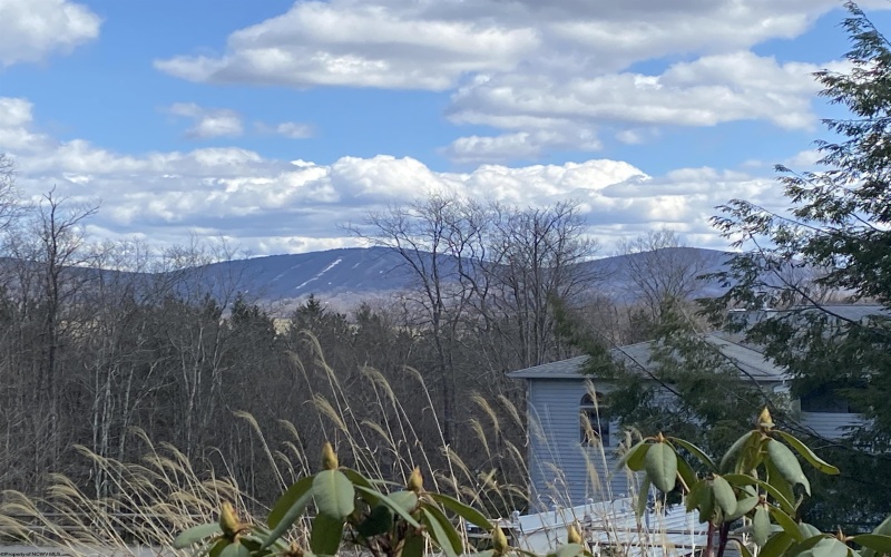 31 Beech Lodge Court, Davis, West Virginia 26260, 1 Bedroom Bedrooms, 4 Rooms Rooms,1 BathroomBathrooms,Single Family Attached,For Sale,Beech Lodge,10159027