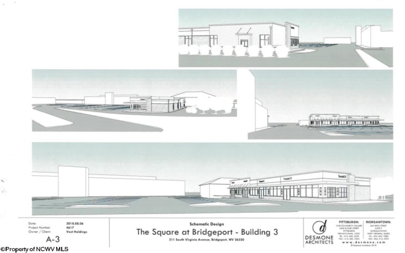 317 Virginia Avenue, Bridgeport, West Virginia 26330, 0 , 0 ,0,Commercial (for Sale),For Sale,Virginia,0,10159024