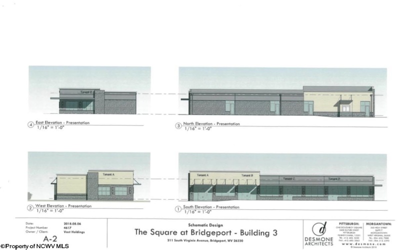 317 Virginia Avenue, Bridgeport, West Virginia 26330, 0 , 0 ,0,Commercial (for Sale),For Sale,Virginia,0,10159024