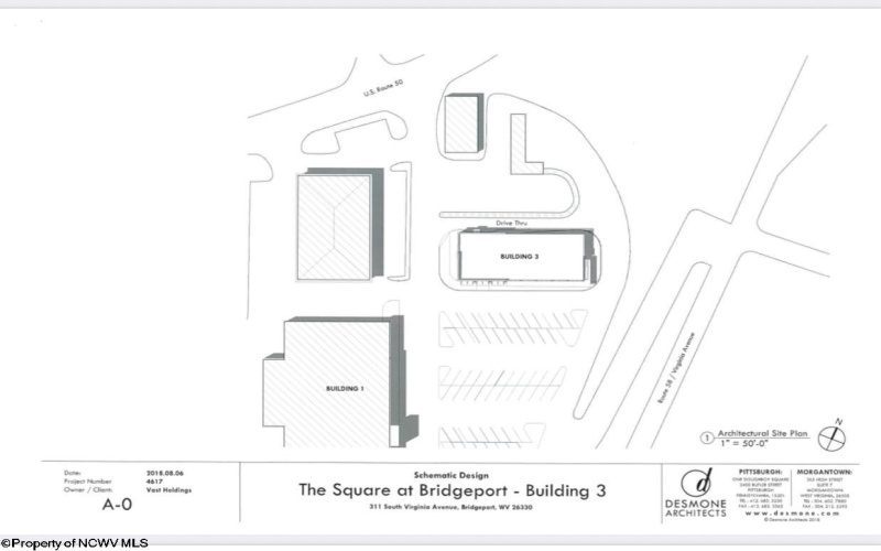 317 Virginia Avenue, Bridgeport, West Virginia 26330, 0 , 0 ,0,Commercial (for Sale),For Sale,Virginia,0,10159024