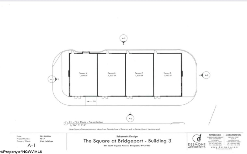 317 Virginia Avenue, Bridgeport, West Virginia 26330, 0 , 0 ,0,Commercial (for Sale),For Sale,Virginia,0,10159024