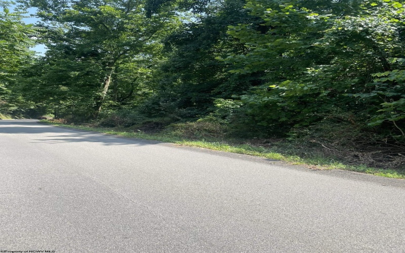 00 Emma Kaufman Camp Road, Morgantown, West Virginia 26508, ,Lots/land,For Sale,Emma Kaufman Camp,10159008