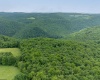 000 Bear Ridge Road, Albright, West Virginia 26519, ,Lots/land,For Sale,Bear Ridge,10159011