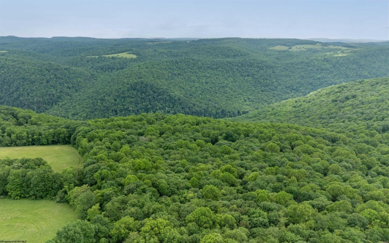 000 Bear Ridge Road, Albright, West Virginia 26519, ,Lots/land,For Sale,Bear Ridge,10159011