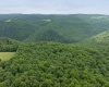 000 Bear Ridge Road, Albright, West Virginia 26519, ,Lots/land,For Sale,Bear Ridge,10159011