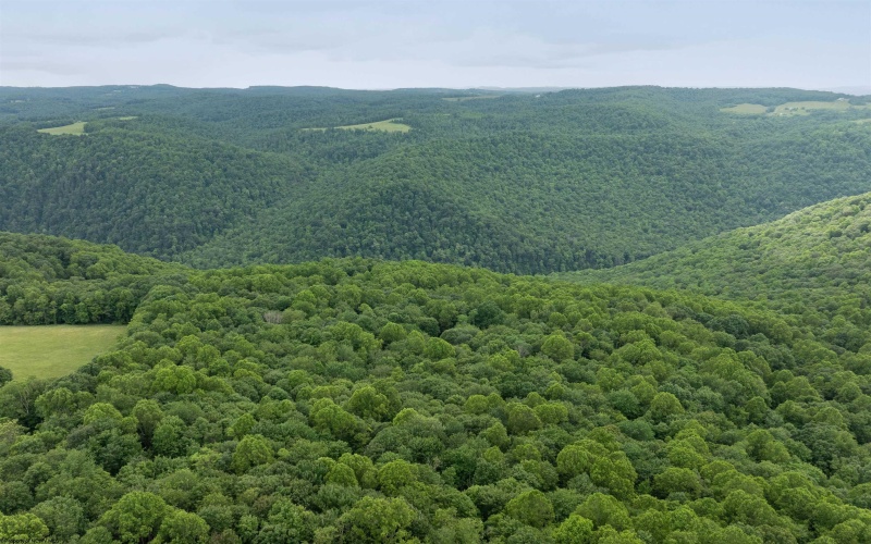 000 Bear Ridge Road, Albright, West Virginia 26519, ,Lots/land,For Sale,Bear Ridge,10159011
