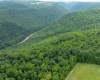 000 Bear Ridge Road, Albright, West Virginia 26519, ,Lots/land,For Sale,Bear Ridge,10159011
