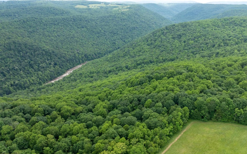 000 Bear Ridge Road, Albright, West Virginia 26519, ,Lots/land,For Sale,Bear Ridge,10159011