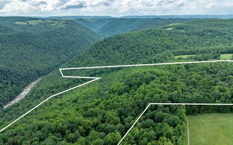 000 Bear Ridge Road, Albright, West Virginia 26519, ,Lots/land,For Sale,Bear Ridge,10159011