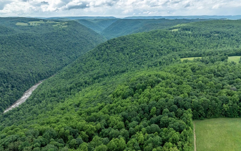 000 Bear Ridge Road, Albright, West Virginia 26519, ,Lots/land,For Sale,Bear Ridge,10159011