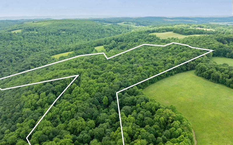 000 Bear Ridge Road, Albright, West Virginia 26519, ,Lots/land,For Sale,Bear Ridge,10159011